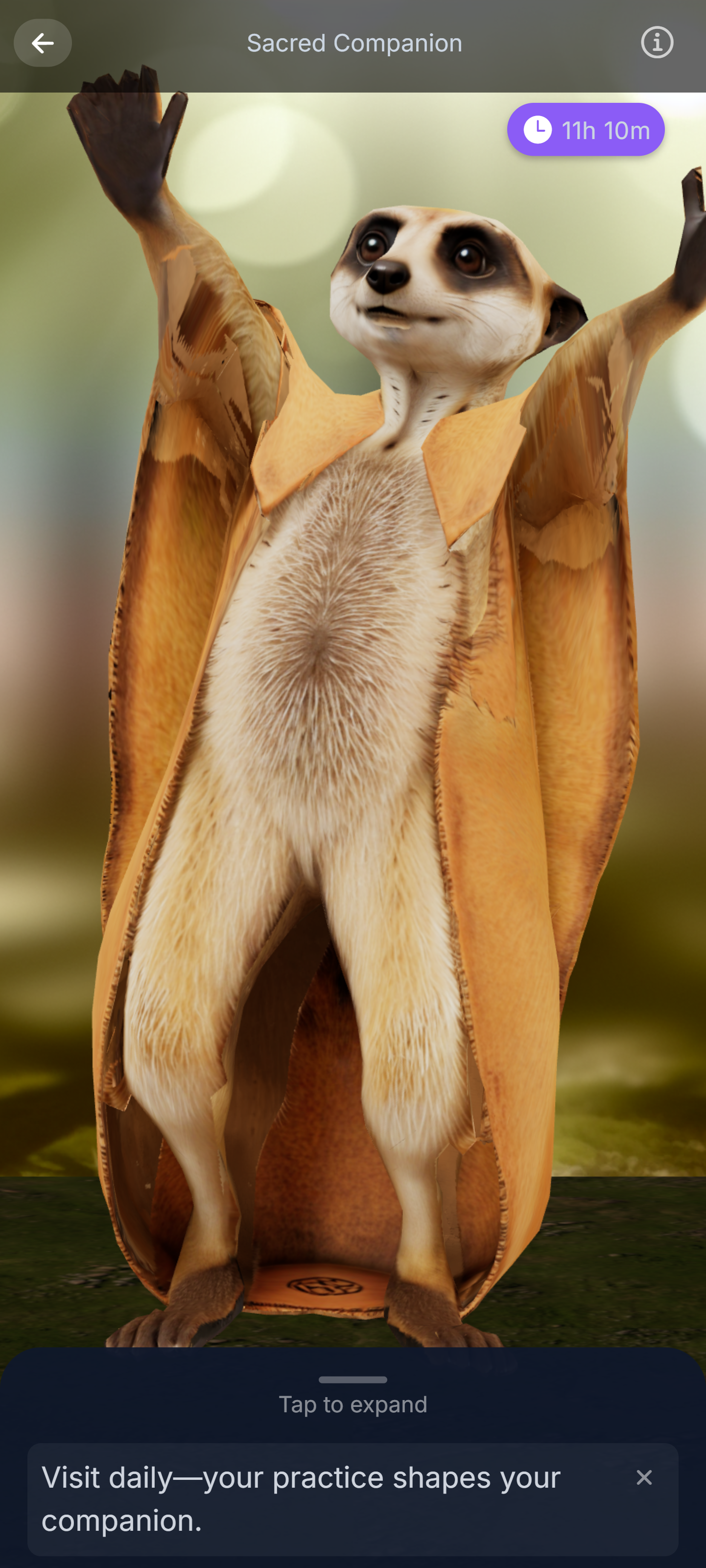 InnerCompass app screenshot