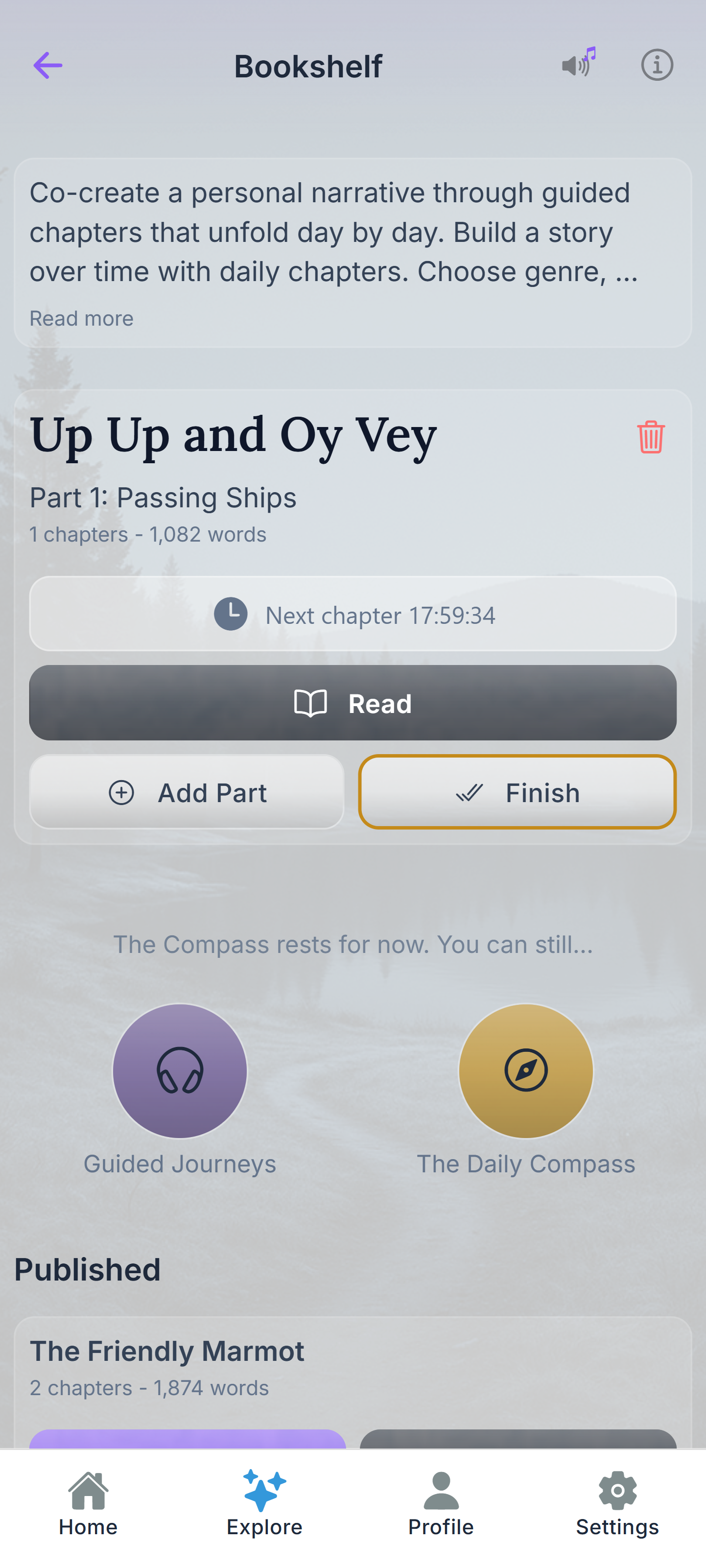 InnerCompass synthesis journey